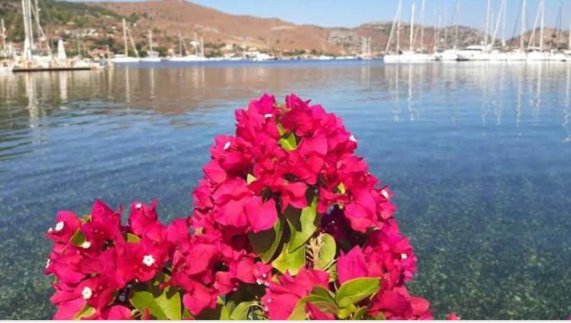 Defne Residence Selimiye Marmaris Esterno foto